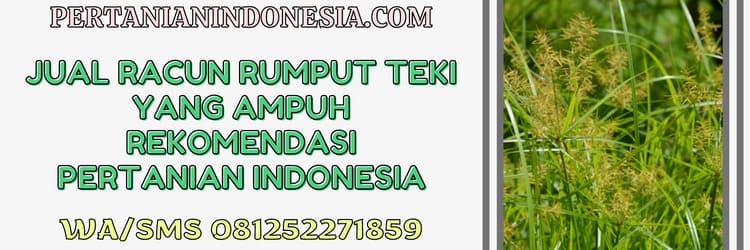 jual,racun rumput,ampuh,pertanian indonesia,teki-tekian